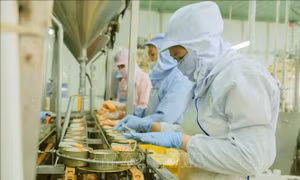 Standard Chartered lạc quan về triển vọng tăng trưởng kinh tế Việt Nam năm 2026