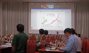 Đẩy nhanh tiến độ 'Khôi phục đường bờ biển Đông Cà Mau'