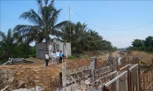 Thanh Hóa tăng tốc gia cố 46 trọng điểm đê điều, chủ động ứng phó mùa mưa bão 