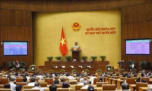 Bầu 5 Ủy viên Ủy ban Thường vụ Quốc hội