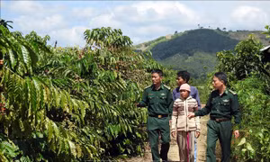 Xuân về trên biên giới Kon Tum