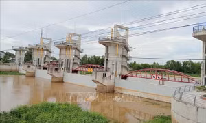 Vận hành xả hai cống kiểm soát lũ sông Cửu Long và vùng Tứ Giác Long Xuyên