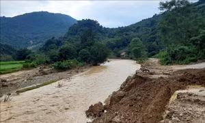 Nghệ An chủ động ứng phó, khắc phục hậu quả mưa lũ