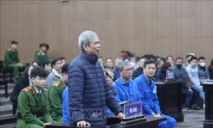 Cựu Chủ tịch Vicem kháng cáo xin giảm nhẹ hình phạt