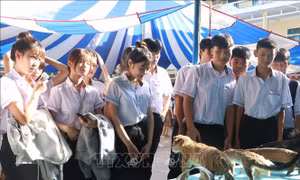 Phê duyệt Chương trình Sức khỏe học đường giai đoạn 2026-2035