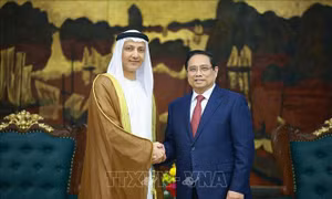 Thủ tướng Phạm Minh Chính đề nghị hiện thực hóa kết quả điện đàm giữa Thủ tướng với Tổng thống UAE
