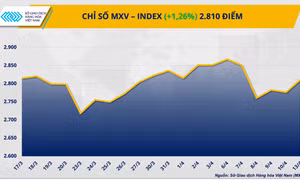 Lo ngại nguồn cung quay trở lại, dầu áp sát 100 USD/thùng kéo MXV-Index vượt mốc 2.800
