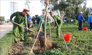 Sôi nổi Tết trồng cây tại Ninh Thuận