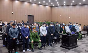 Vụ nhận hối lộ tại Cục An toàn thực phẩm: Lợi dụng khó khăn chung để 'vòi tiền' cá nhân, doanh nghiệp