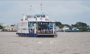 Phà Vàm Cống tấp nập người qua lại sau 4 năm dừng hoạt động