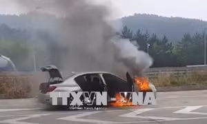 Hơn 1.200 khách hàng tại Hàn Quốc kiện BMW đòi bồi thường thiệt hại