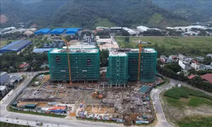 Chủ đầu tư nhà ở xã hội không được thu tiền đặt cọc ngoài quy định 