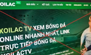 Khởi tố 30 bị can tổ chức đánh bạc và đánh bạc liên quan hệ thống 'Xôi Lạc TV'