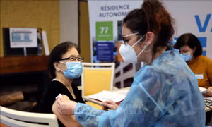 Hàn Quốc xúc tiến nối lại việc phát hành phiếu giảm giá thúc đẩy tiêu dùng 