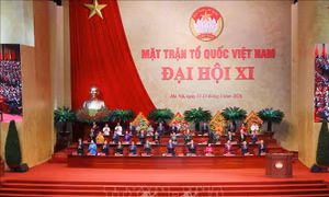 Kiều bào kỳ vọng vào những đổi mới của công tác Mặt trận trong giai đoạn mới
