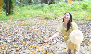 Mùa bướm ở Vườn quốc gia Cúc Phương 'níu chân' du khách