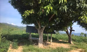 Gia Lai: Điều tra, truy bắt nhóm đối tượng dùng dao tấn công cán bộ kiểm lâm