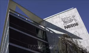 Thêm nhiều nước thu hồi sản phẩm sữa công thức của Nestle