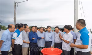 Bộ trưởng Lê Minh Hoan: Tổ chức lại sản xuất để khắc phục tình trạng sản xuất manh mún