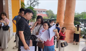Hưng Yên không có đột biến tại phiên đấu giá đất vùng ven đô