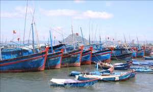 Lập quy hoạch bảo vệ và khai thác nguồn lợi thủy sản thời kỳ 2021-2030, tầm nhìn đến năm 2050