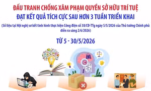 Đấu tranh chống xâm phạm quyền sở hữu trí tuệ đạt kết quả tích cực 
