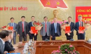 Lâm Đồng: Điều động, luân chuyển nhiều lãnh đạo cấp sở, huyện và thành phố