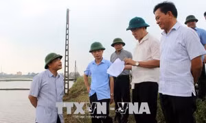 Các địa phương chủ động ứng phó với bão số 3