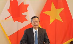 50 năm quan hệ Việt Nam - Canada: Nhiều dư địa cho hợp tác song phương