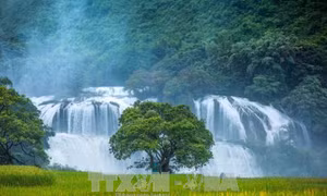 Lượng khách du lịch đến Trùng Khánh tăng trưởng mạnh