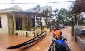 Hà Nội đấu giá nhiều vật phẩm quý ủng hộ đồng bào miền Trung bị lũ lụt