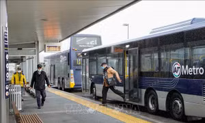 New Zealand dỡ bỏ các biện pháp hạn chế tại Auckland