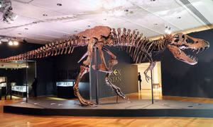 Mẫu hóa thạch khủng long bạo chúa T-Rex được bán với giá kỷ lục 31,8 triệu USD