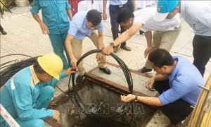 Ra quân hạ ngầm cáp thông tin tại thành phố Đồng Hới