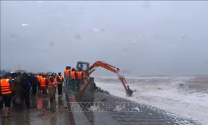 Nam Định khắc phục sự cố sạt lở bờ kè du lịch biển