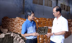 Đảm bảo nguồn vật liệu cho trùng tu Điện Thái Hòa
