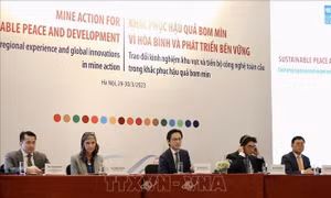 Chia sẻ kinh nghiệm khu vực và các tiến bộ quốc tế về khắc phục hậu quả bom mìn