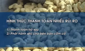 Cảnh báo hình thức thanh toán rủi ro khi giao thương quốc tế