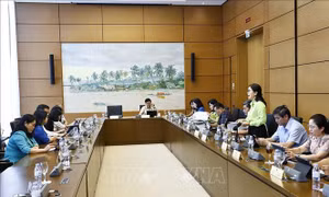 Kỳ họp thứ 9, Quốc hội khóa XV: Kiến nghị về thời hạn hiệu lực của văn bản quy phạm pháp luật của cấp huyện