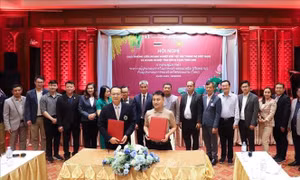 Thúc đẩy hợp tác thương mại giữa tỉnh Quảng Trị với các tỉnh Đông Bắc Thái Lan