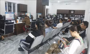 Doanh nghiệp 'khát' nhân lực cuối năm