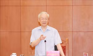 'Cánh tay nối dài của Trung ương' về phòng, chống tham nhũng, tiêu cực