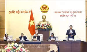 Thống nhất giữ nguyên cách gọi 'cơ quan của Quốc hội' sau khi sắp xếp bộ máy