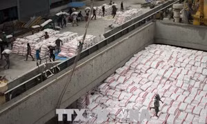 Xuất khẩu gạo của Thái Lan giảm cả về khối lượng và giá trị