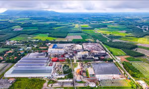 Đòn bẩy chiến lược để đưa nông sản Tây Ninh vươn tầm quốc tế