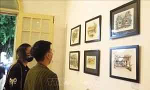 Giới thiệu những nét đặc trưng của làng cổ Phước Tích