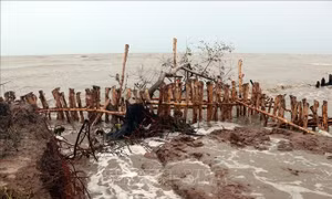 700m đê biển Tây bị sạt lở nghiêm trọng