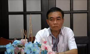 Phó Giám đốc Sở Tư pháp Hậu Giang bị kỷ luật do không nhận quyết định điều động