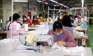 Ngược đãi người lao động có thể bị phạt tiền đến 75 triệu đồng