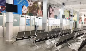Viện Pasteur Thành phố Hồ Chí Minh hết sạch nhiều loại vaccine
